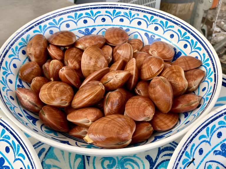 A decorative ceramic bowl filled with freshly harvested clams.
