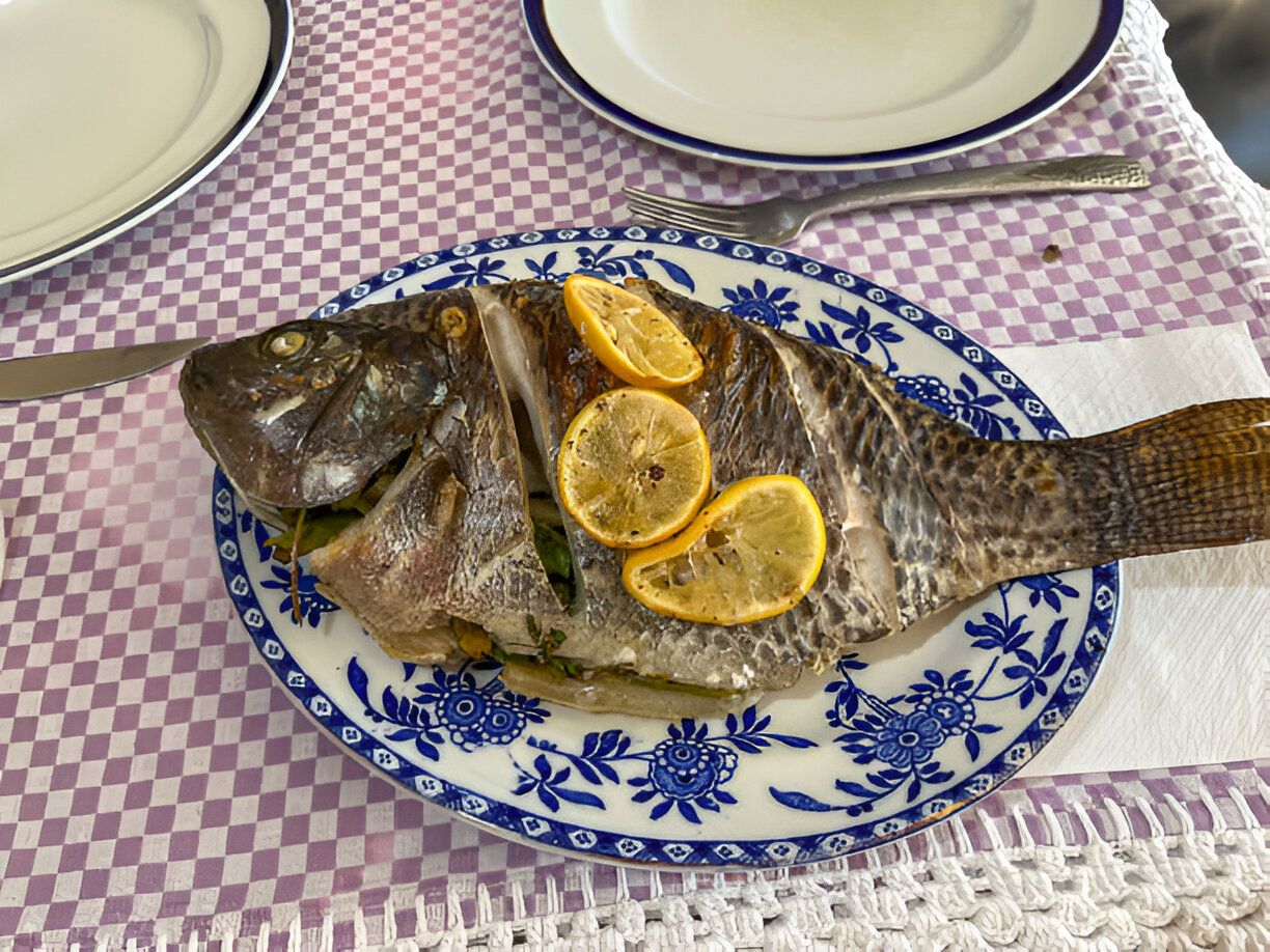 A whole grilled fish garnished with lemon slices on a decorative plate, placed on a checkered tablecloth.
