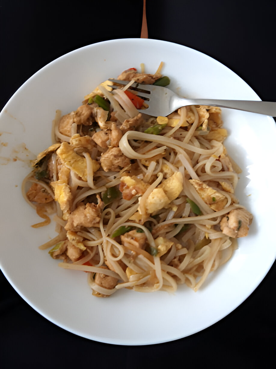 A plate of stir-fried noodles with chicken, vegetables, and an egg mixture, served with a fork.
